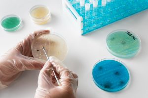 Microflora research